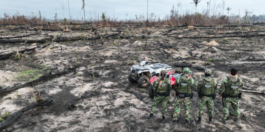 Desmatamento na Amazônia ameaça igarapés e segurança hídrica