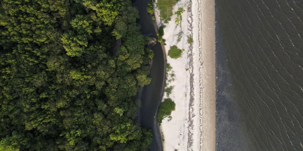 “Não existe Planeta B”, alerta astrofísico às vésperas da COP 30