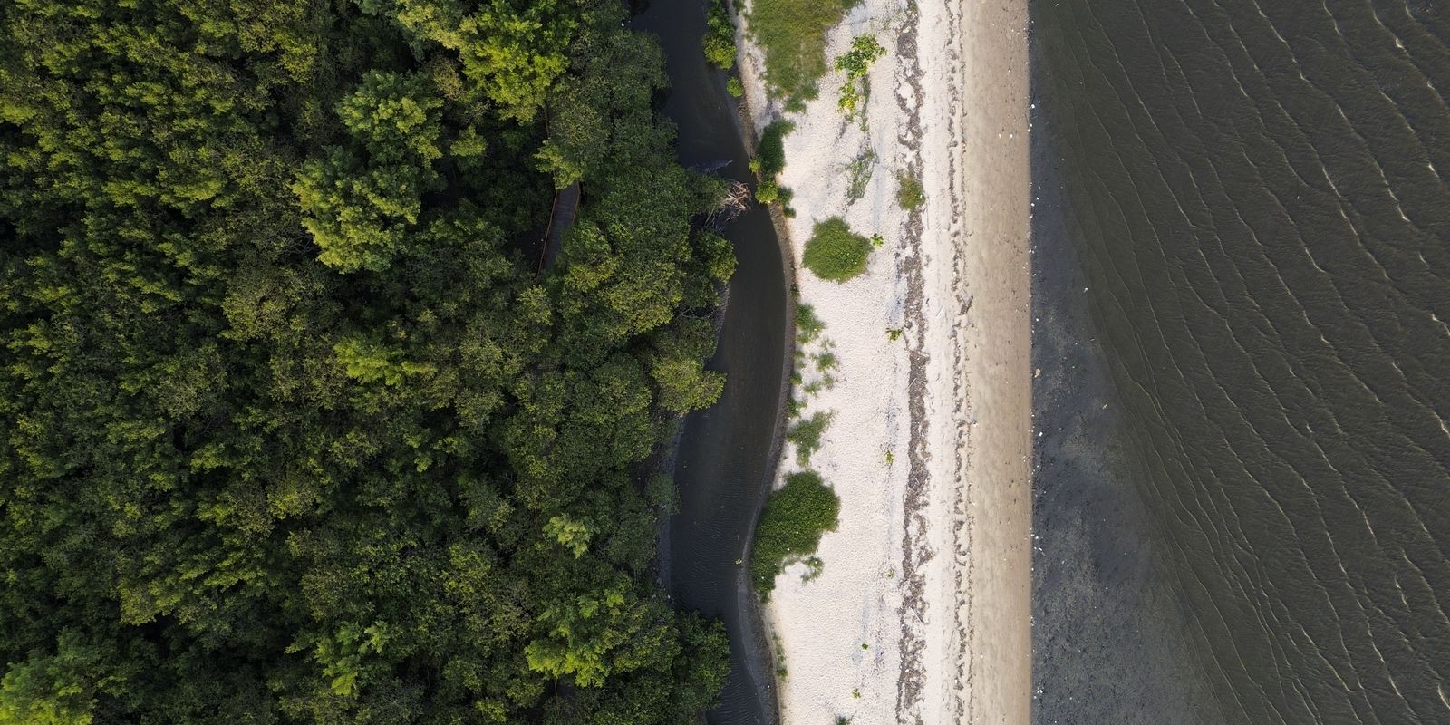 “Não existe Planeta B”, alerta astrofísico às vésperas da COP 30