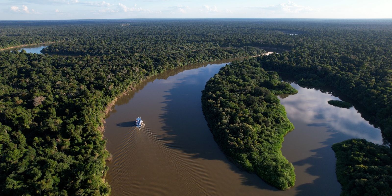 Amazônia e Cerrado têm dados históricos de redução do desmatamento