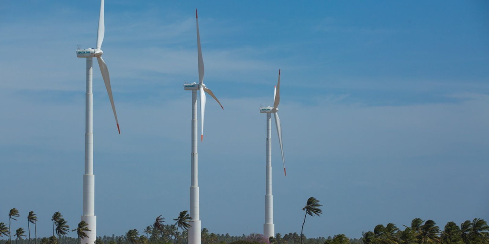 Brasileiros acreditam que economia verde trará novos empregos