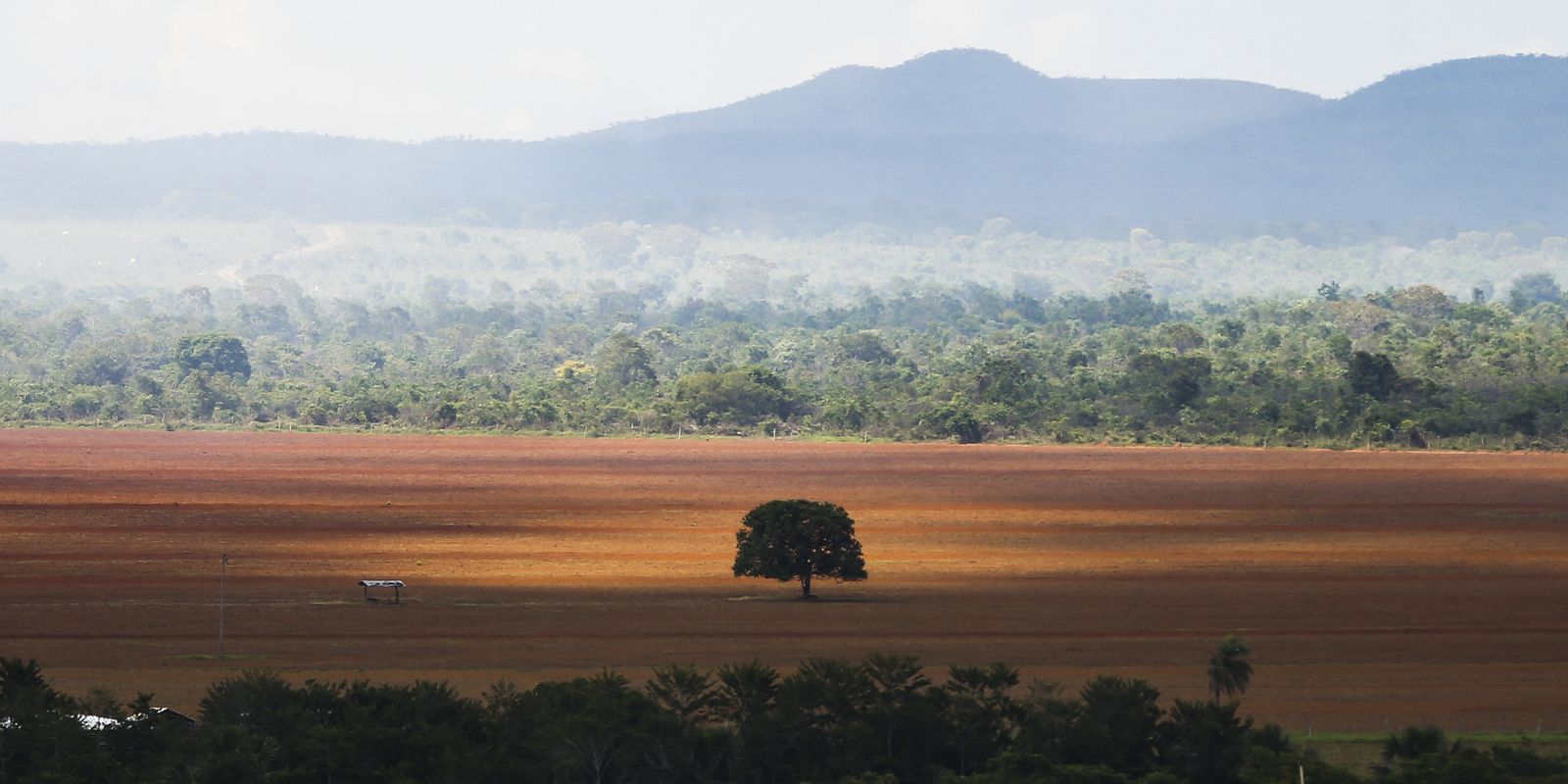 COP30: governo cobra R$ 476 milhões de infratores ambientais 