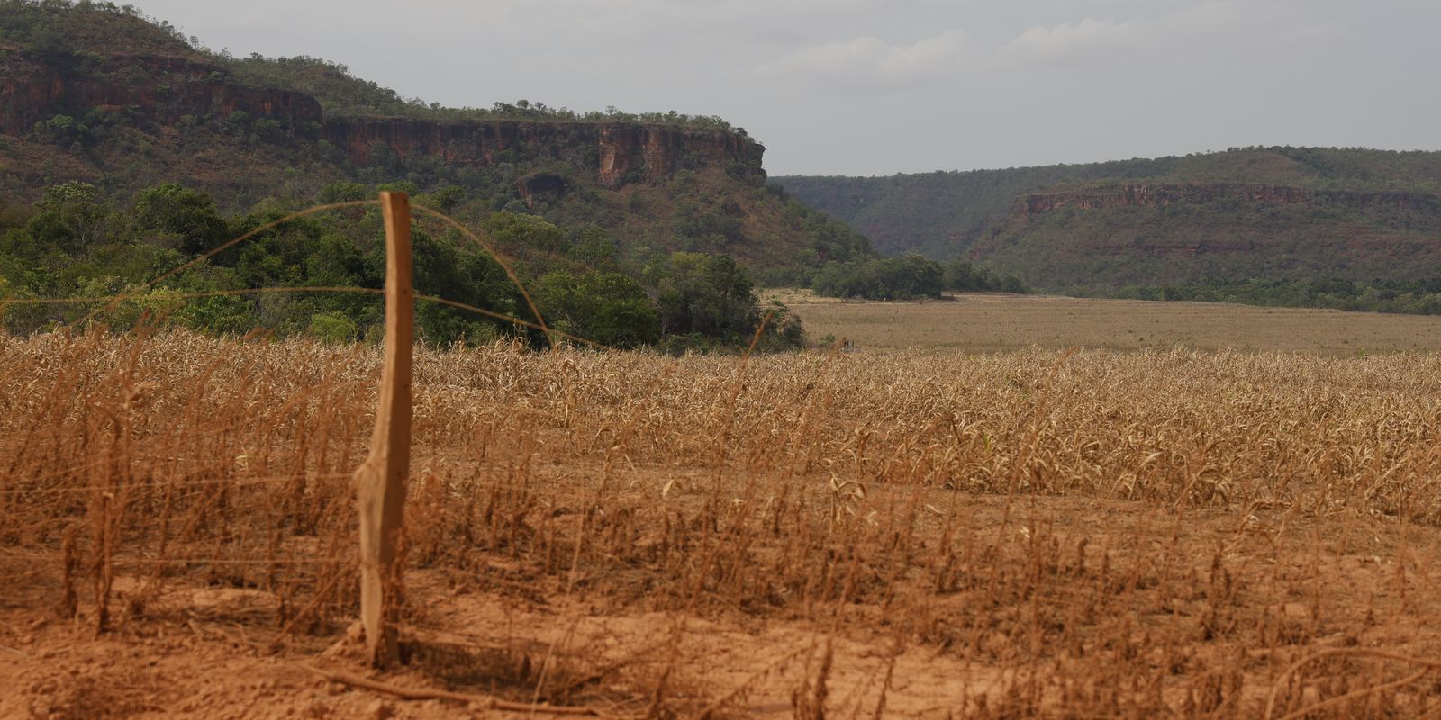 Fronteira Cerrado: acesso desigual ao Estado agrava conflitos agrários