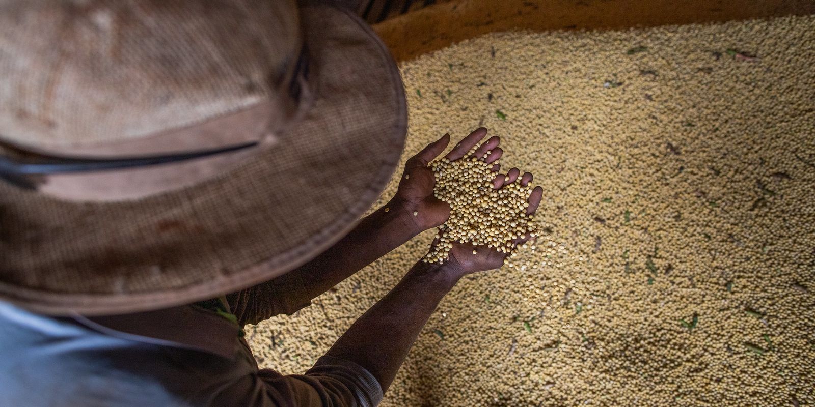 Livro aborda produção sustentável em meio à mudança climática