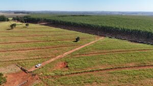 Campo Grande sedia encontro estratégico de logística florestal – CGNotícias