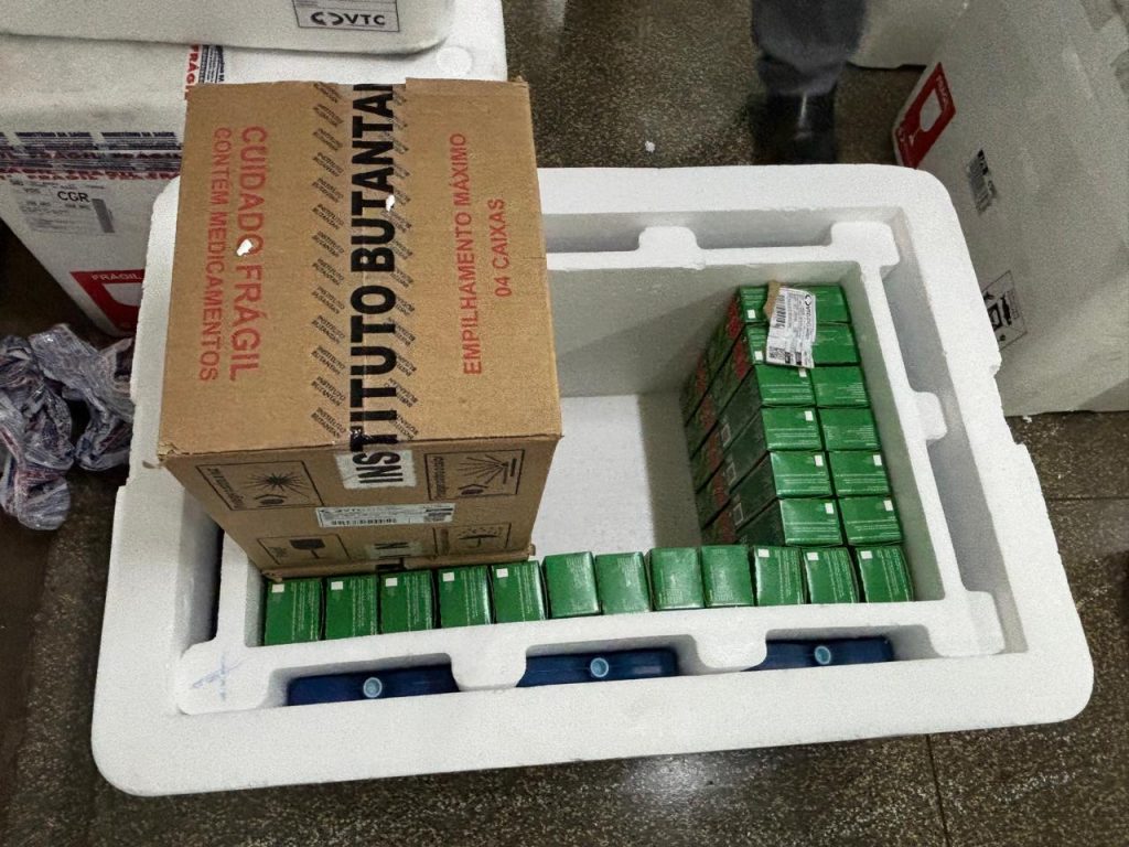SES define distribuição das 7,8 mil doses contra dengue para os 79 municípios de MS – Agência de Noticias do Governo de Mato Grosso do Sul