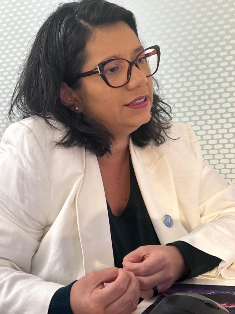 Mato Grosso do Sul leva programa Protege à ONU e debate proteção de mulheres em fórum internacional