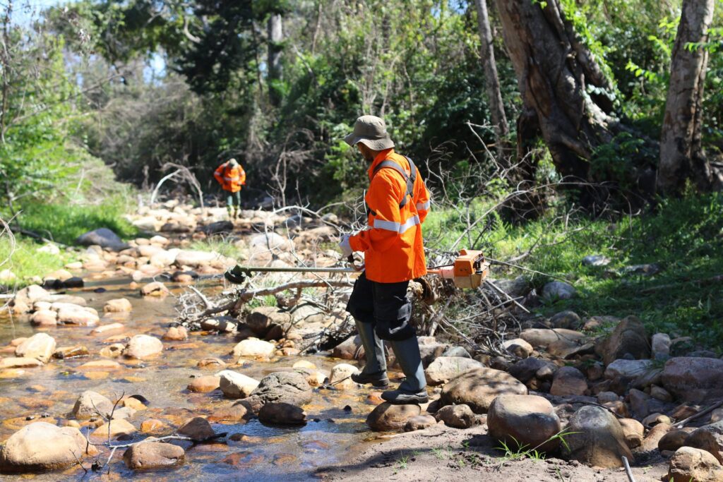 Para preservar o Pantanal, PSA Brigadas destinou mais de R$ 6,1 milhões para diferentes projetos sustentáveis