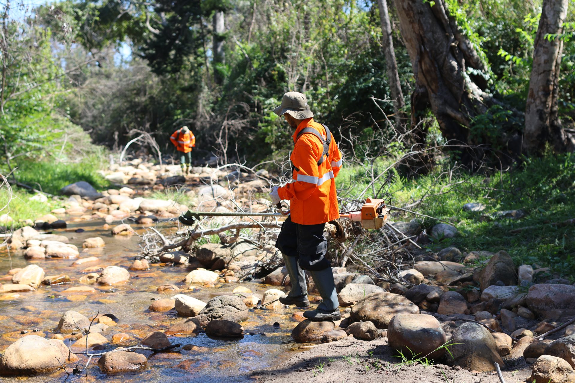 Para preservar o Pantanal, PSA Brigadas destinou mais de R$ 6,1 milhões para diferentes projetos sustentáveis