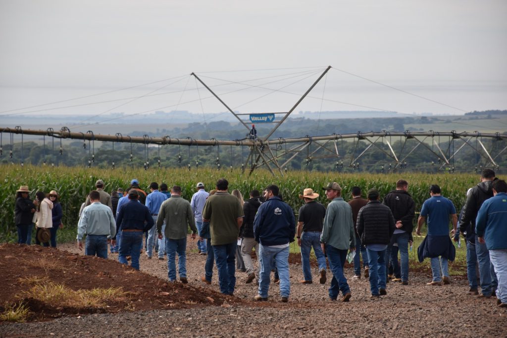 Irrigação é aposta para elevar produtividade do milho e driblar irregularidades de chuvas – Agência de Noticias do Governo de Mato Grosso do Sul