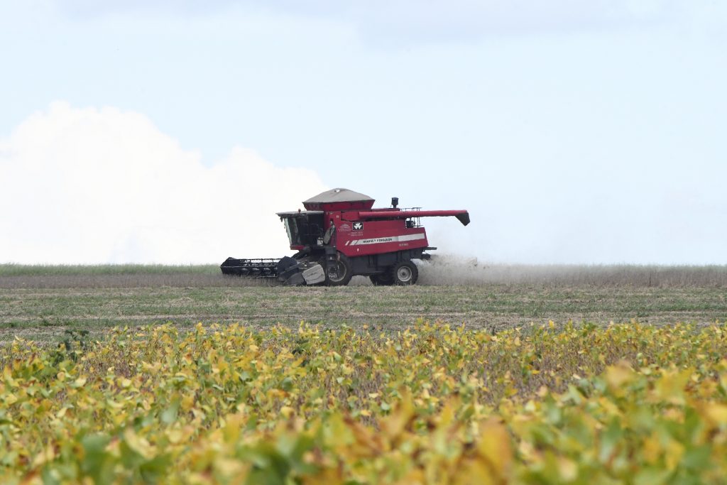 MS avança e agro cresce como vitrine de inovação e futuro das cadeias produtivas – Agência de Noticias do Governo de Mato Grosso do Sul