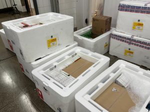 entenda as perdas de vacinas no SUS – Agência de Noticias do Governo de Mato Grosso do Sul