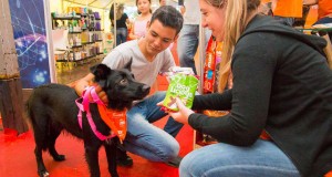 Campo Grande incentiva pesquisa sobre turismo pet – CGNotícias