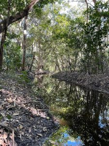 Para preservar o Pantanal, podutores rurais têm ações de conservação remuneradas por programa do Governo de MS