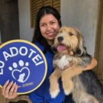 Cães e gatos resgatados buscam nova família no domingo  – CGNotícias