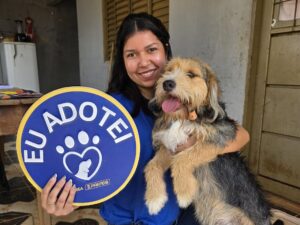 Cães e gatos resgatados buscam nova família no domingo  – CGNotícias