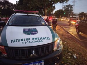 Descarte irregular de resíduos pode virar crime ambiental  – CGNotícias