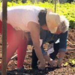 Dia de campo reúne idosos da Vila da Melhor Idade – CGNotícias