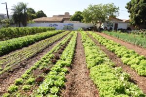 FAC e Emha realizam intercâmbio socioambiental para idosos – CGNotícias