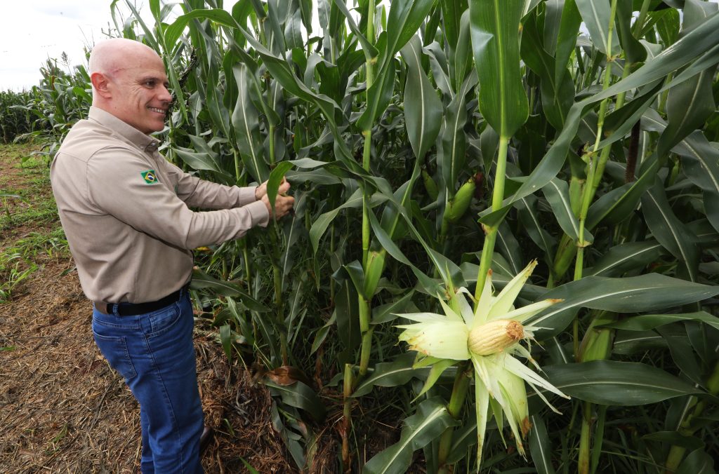Fundação MS transforma ciência em decisões mais seguras para o agro – Agência de Noticias do Governo de Mato Grosso do Sul