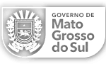 investimento de R$ 176 milhões vai direto para municípios na maior entrega da segurança de MS – Agência de Noticias do Governo de Mato Grosso do Sul