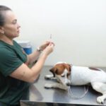 Consultório Móvel atende pets nesta segunda (17) – CGNotícias