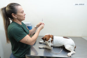 Consultório Móvel atende pets nesta segunda (17) – CGNotícias