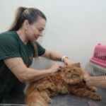 Consultório da Subea leva atendimento ao Jardim Carioca – CGNotícias