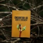 Livro sobre sociedade e natureza será lançado nesta terça (10) – CGNotícias