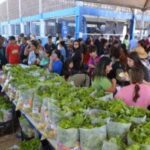 Mutirão Todos em Ação chega ao Oliveira II – CGNotícias