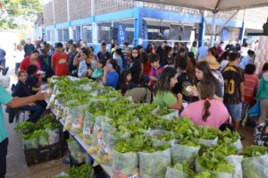Mutirão Todos em Ação chega ao Oliveira II – CGNotícias