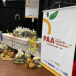 Programa de alimentos abre cadastro para projetos sociais  – CGNotícias