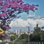 Semana tem avanços em habitação, obras e mobilidade – CGNotícias