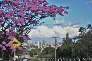 Semana tem avanços em habitação, obras e mobilidade – CGNotícias