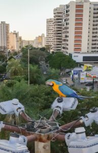 Campo Grande recebe fórum sobre turismo e conservação ambiental – CGNotícias