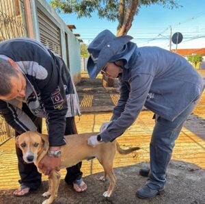Campo Grande terá vacinação contra a raiva neste sábado e domingo – CGNotícias