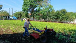 Horta urbana do FAC transforma produção em solidariedade – CGNotícias
