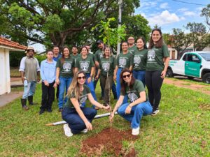 Plantio no Parque Municipal Água Limpa abre caminho para novo ponto de observação de aves – CGNotícias