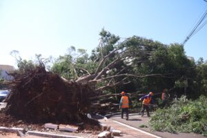 PrefCG avança em mobilidade, educação, regularização e atendimento pós-temporal – CGNotícias