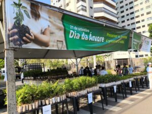Prefeitura distribui 10 mil mudas frutíferas neste sábado – CGNotícias