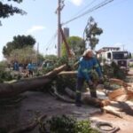 Repasse de R$ 496 mil autorizado pela união será destinado a ações emergenciais da defesa civil em Campo Grande – CGNotícias